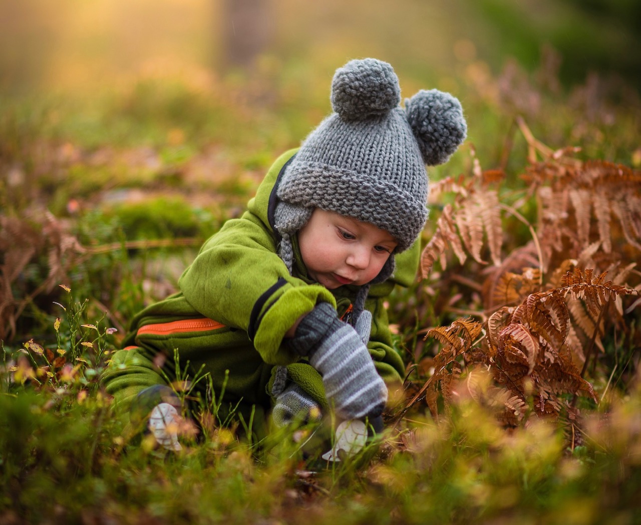 baby wald zeit